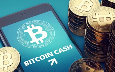 What is Bitcoin Cash (BCH)?